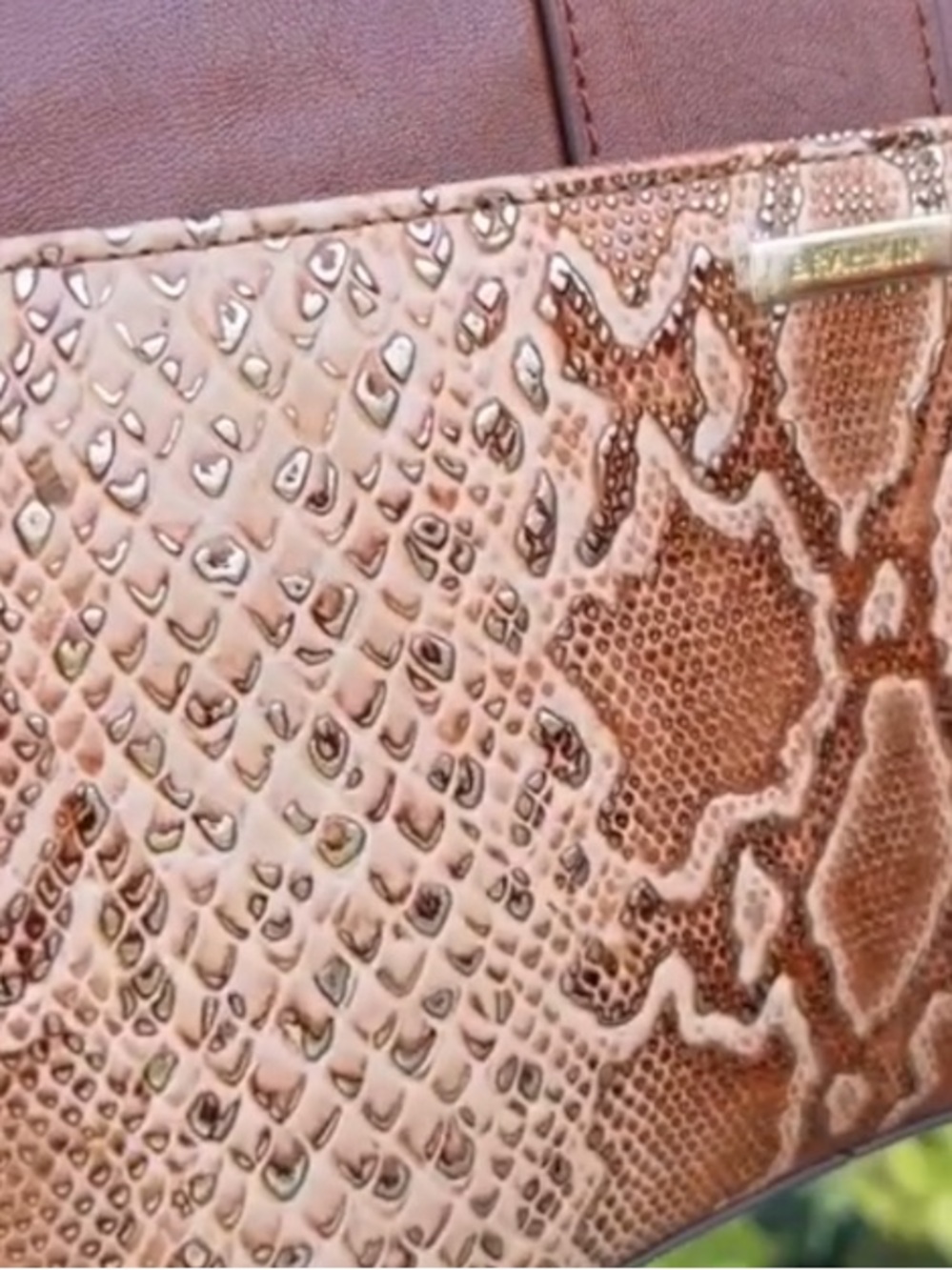 Brahmin Nerida multi Wailua snake embossed leather buckle shoulder bag NWT RARE - Picture 10 of 15